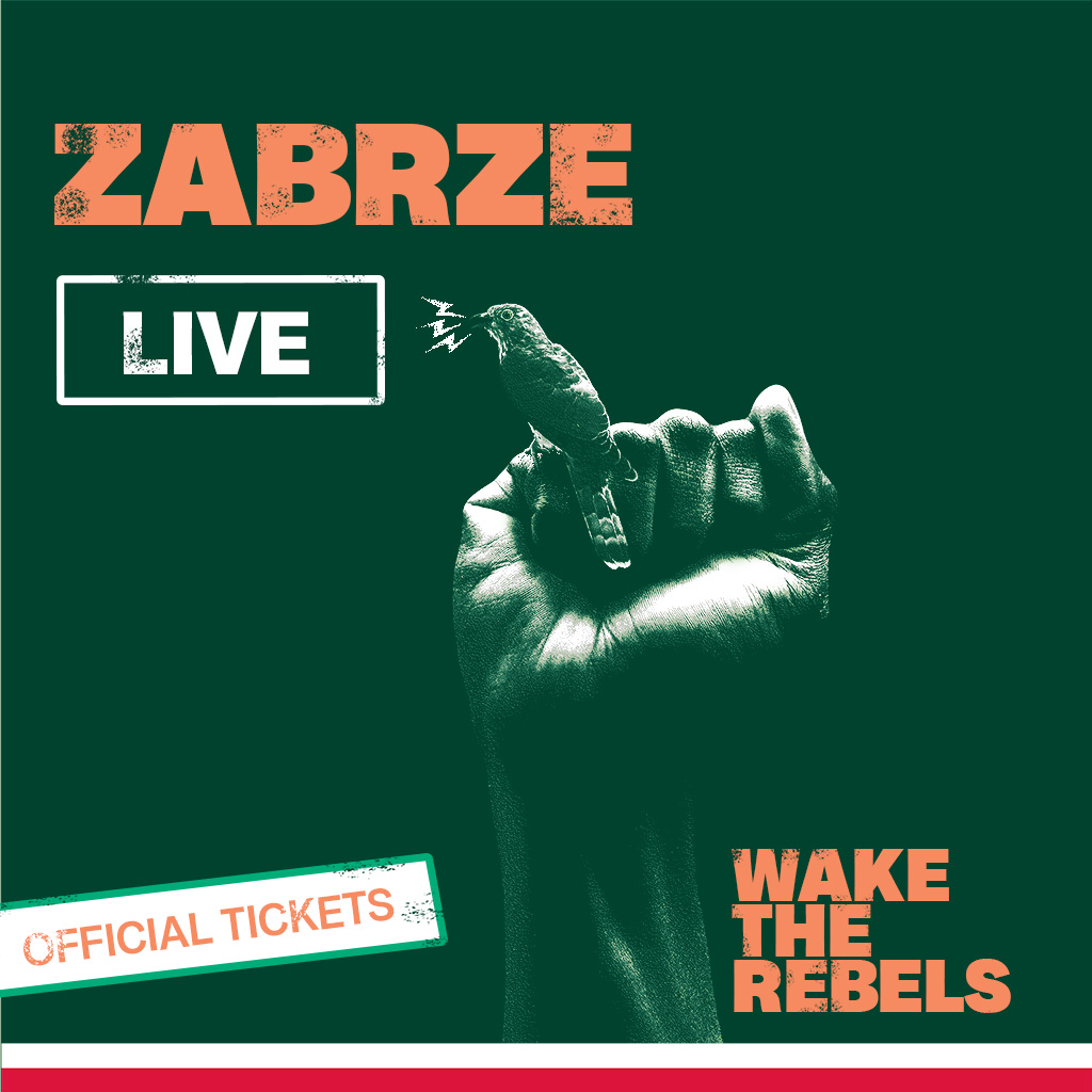 Obudź Rebeliantów, Paddyhats, Europejska trasa koncertowa Wake The Rebels 2024